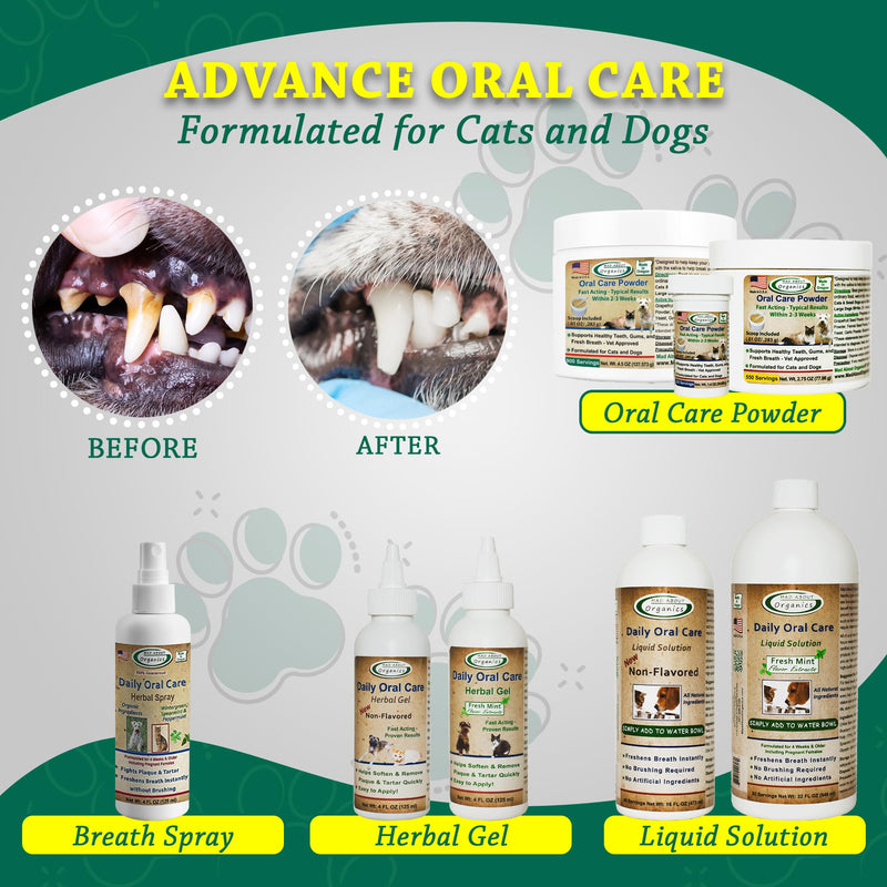 Daily Oral Care Herbal Spray for Dogs & Cats - Wintergreen, Spearmint & Peppermint Formula, Reduces Plaque & Tartar for Fresh Breath, Simple No-Brush Dental Solution, 4oz Bottle - PawsPlanet Australia
