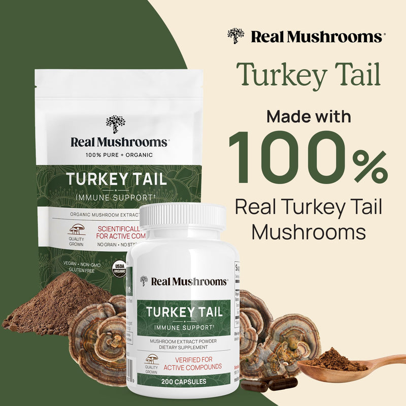 [Australia] - Real Mushrooms Turkey Tail Capsules ‚Äì Organic Mushroom Extract for Wellness & Daily Rhythm ‚Äì Vegan, Non-GMO, No Fillers Turkey Tail Extract ‚Äì 90 Count Mushroom Supplement Capsule 90 Count (Pack of 1) 