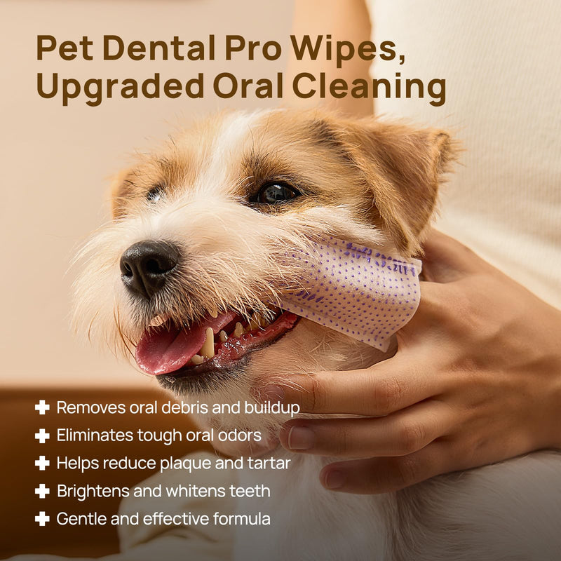 [Australia] - HICC PET Pro Dog Teeth Cleaning Wipes, Vet-Recommended Dental Care Wipes for Plaque & Fresh Breath, No-Rinse Dog Tooth Brushing Kit, Fresh Breath Oral Care, 50 Count, Unscented 1 