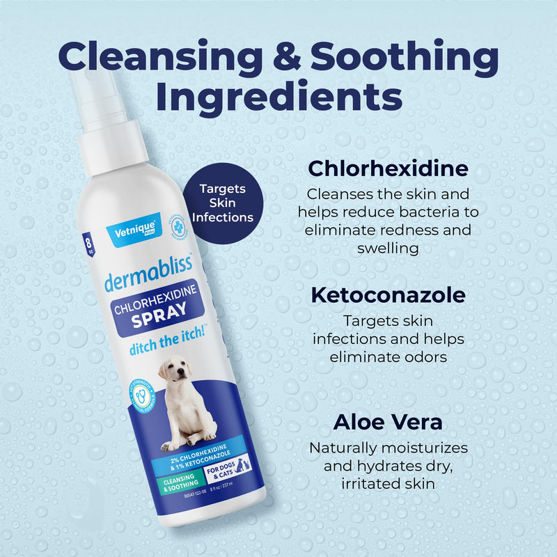 Vetnique Dermabliss Hot Spot Treatment for Dogs - Antiseptic Medicated Chlorhexidine Spray - Vet Recommended for Skin Infections, Hot Spots & Irritation (Hot Spot Spray, 8oz) - PawsPlanet Australia
