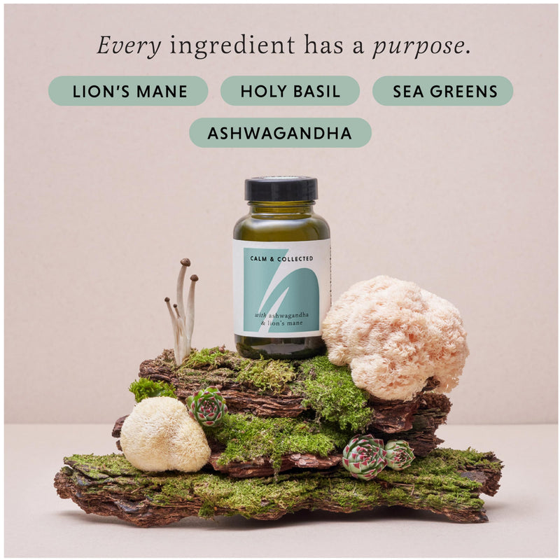 Ashwagandha & Lion’s Mane Supplement – Calm & Collected 60 Capsule Jar - Ashwagandha Capsules High Strength - Lion’s Mane Capsules - Natural Stress & Anxiety Support - Calming Tablets for Adults