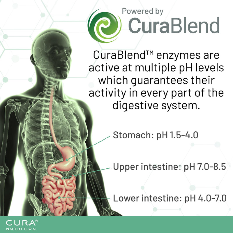 CURAZYME Tolerance (30 Capsules) Food Intolerance Digestive Enzymes Supplement for Gut Health Support, Broad Spectrum Enzyme Complex for Bloating, Heartburn, Digestion Relief, Vegan FOOD INTOLERANCE SUPPORT 30 count (Pack of 1)