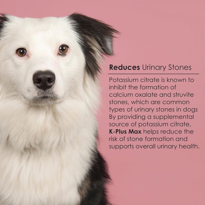 Urinary Tract Health, UTI, Bladder & Kidney - Cranberry, Potassium Citrate, Methionine (90 Soft Chews) - PawsPlanet Australia