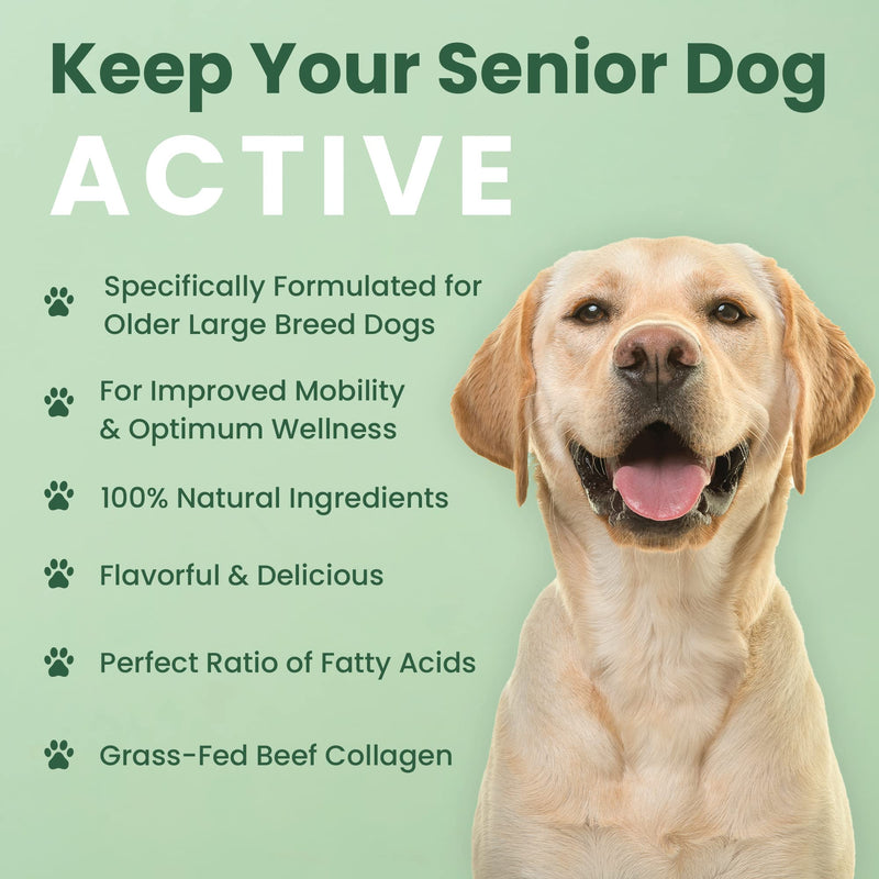 Veterinary Naturals Hemp & HIPS Joint Supplement for Dogs - 60 Soft Chews for Dog Hip and Joint Supplement with Glucosamine for Dogs, MSM, & Turmeric (Beef & Bacon) Beef & Bacon Regular - PawsPlanet Australia