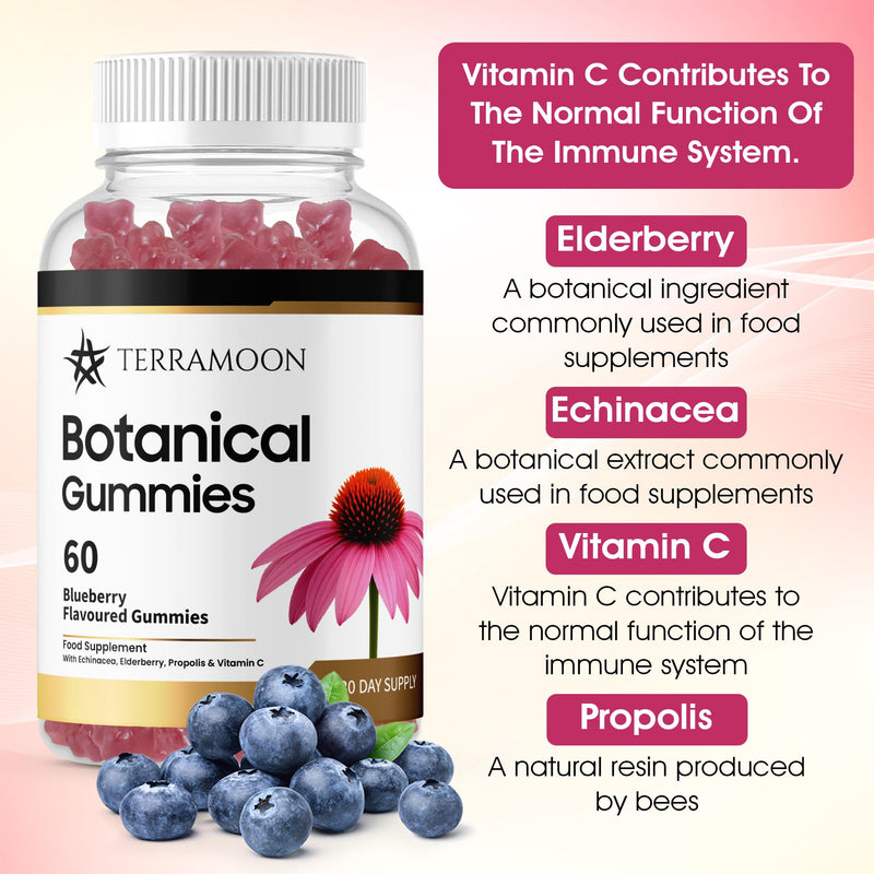 Botanical Gummies, 60 Blueberry Flavoured Gummies with Echinacea, Elderberry and Vitamin C, 30 Day Supply
