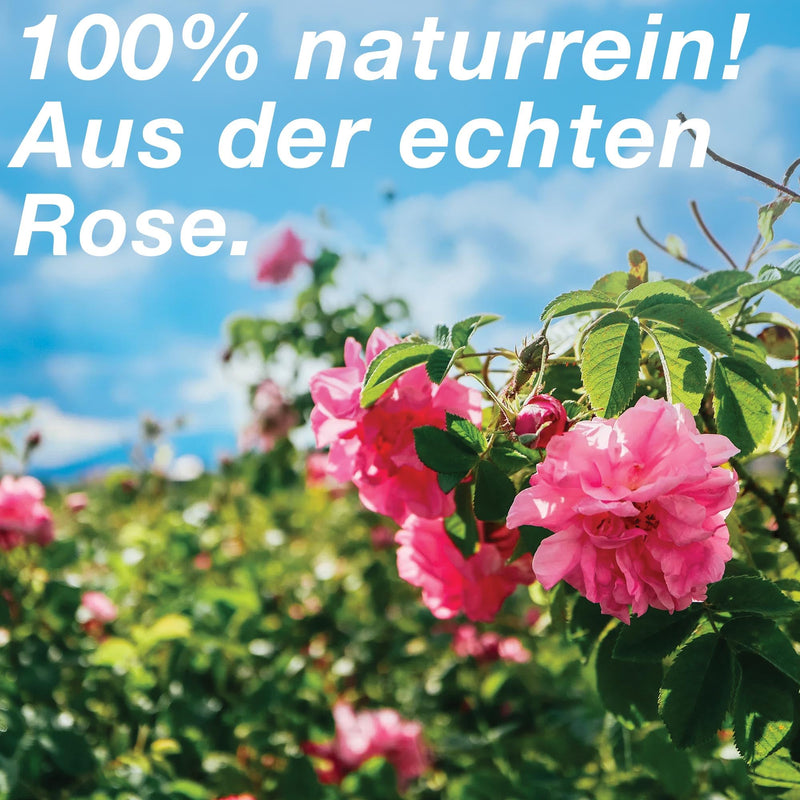 [Australia] - NeoOrganic® organic rose oil (Rosa Damascena) - 5% natural essential oil of real rose in organic wine spirit - from the Bulgarian rose valley - rose fragrance for face - 5ml rose 5% 5 ml (pack of 1) 