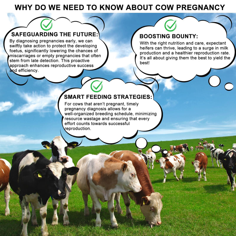Cow Pregnancy Test kit, Home/Small Farm Use, 10-15 Minutes to Obtain Test Results, Accuracy Rate of Over 98.8%, Painless, Accurate and Quick