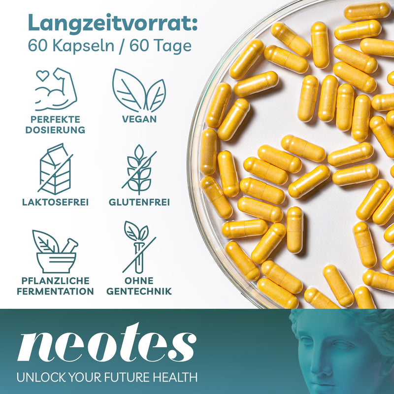 [Australia] - neotes Longevity Q10 capsules high dose 100mg - Coenzyme Q10 high dose - Q10 capsules vegan - 2 month supply - 60 pieces - Coenzyme Q10 100mg high dose - Q10 Ubiquinone - Coenzyme Q10 100mg 