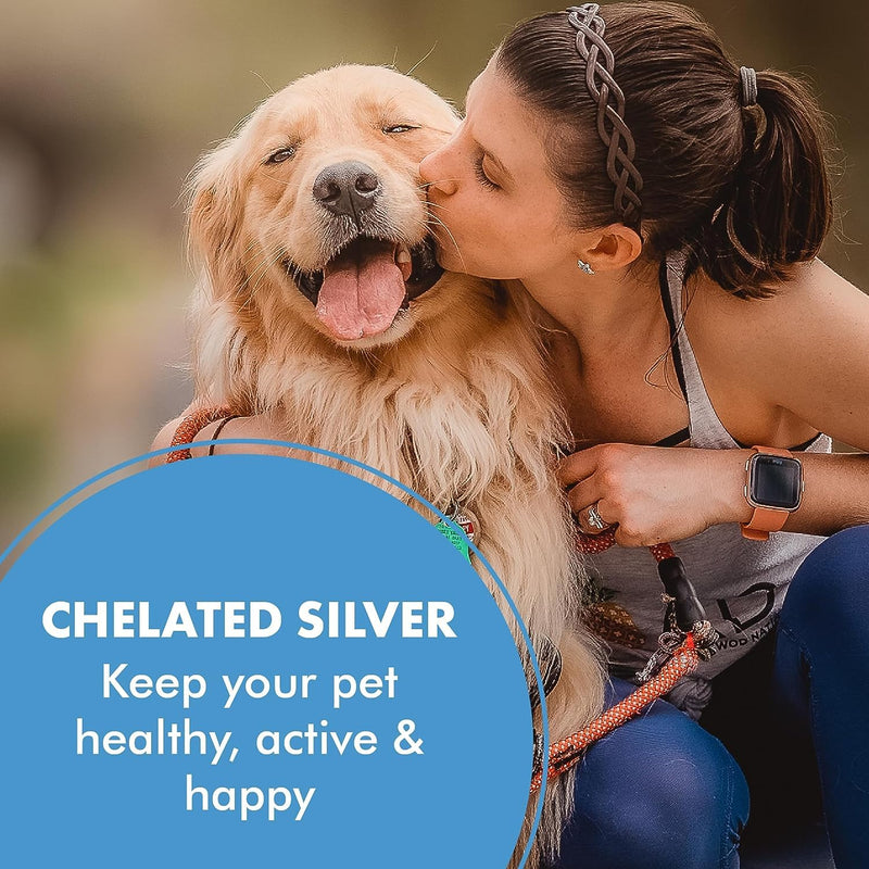 PetSilver Teeth & Gum Water Additive for Dental Care - Dog Breath Freshener - Targets Tartar, Plaque & Eliminates Bad Breath - Cat Oral Care & Dog Teeth Cleaning - No Brushing & Tasteless - 12 fl oz - PawsPlanet Australia