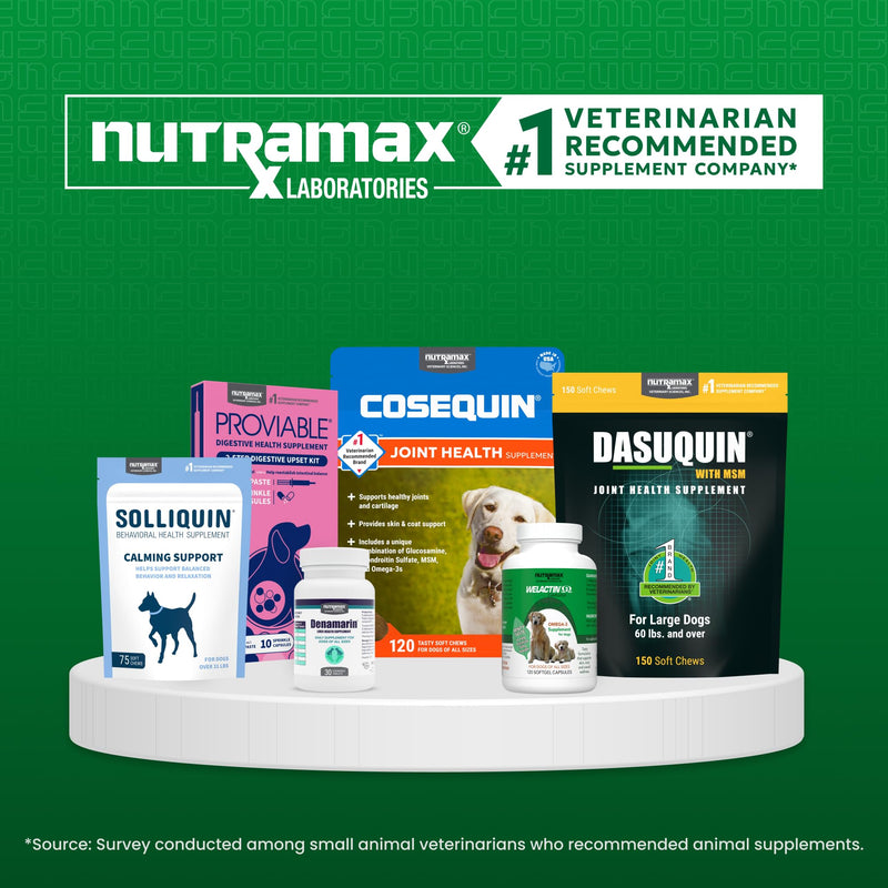Nutramax Welactin Omega-3 Fish Oil Dog Supplement, Skin & Coat, Liquid 16oz 16 oz (480 mL)