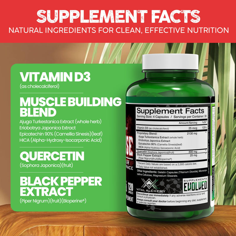 Vital Alchemy Anafuse Turkesterone Supplement for Men, Epicatechin, Quercetin, Black Pepper, and More - Increase Stamina, Lean Muscle Growth & Recovery - USA Made & Non-GMO - 120 Vegan Capsules