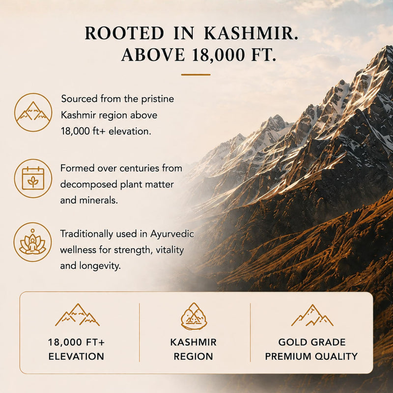 Ancient Extracts Shilajit Resin | Gold Grade – 75% Fulvic Acid | 100 Days Use | Energy, Focus, Recovery & Hormone Support | 85+ Trace Minerals | Tested for Purity & Safety | Kashmir Himalayas