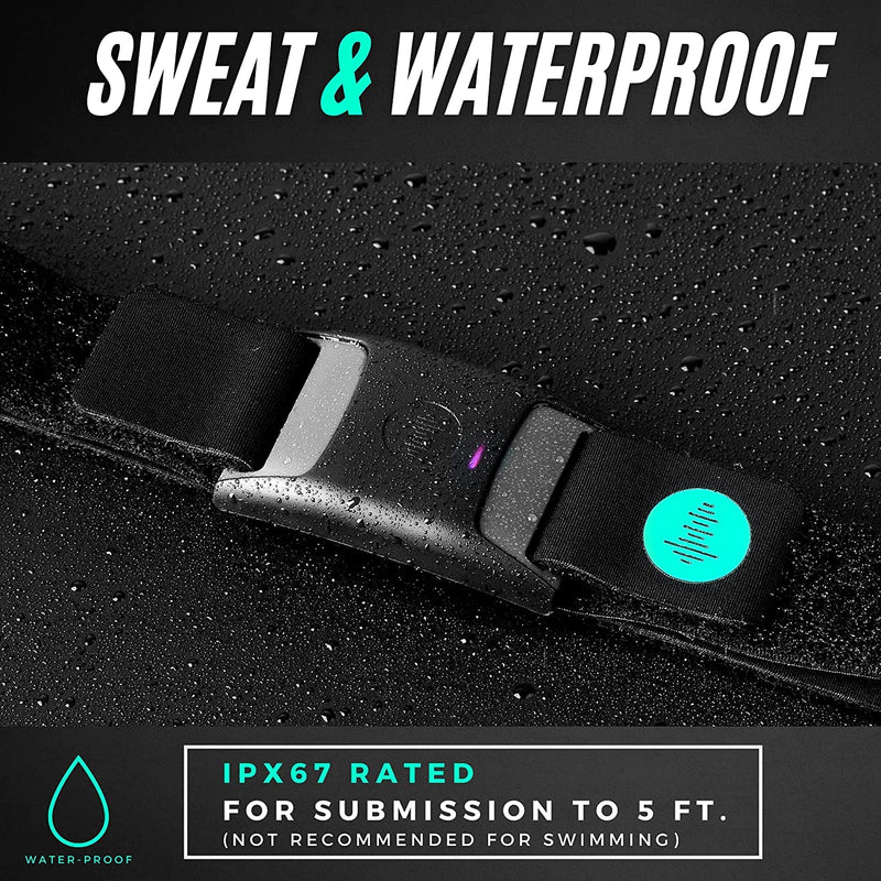 [Australia] - Powr Labs Bluetooth Armband Heart Rate Monitor - ANT+ Compatible with Polar, Peloton, Wahoo, Strava, Garmin, Whoop 