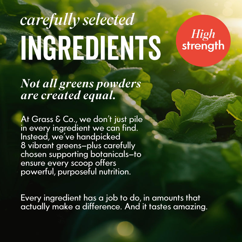 Grass & Co. Active Super Greens | Vegan Daily Greens Powder | 120g | Supports Energy, Digestion & Immunity | with Lion’s Mane, Moringa & Vitamins C, K2 & D3 | Apple & Ginger Flavour | 30 Day Supply Powder | 30 Servings