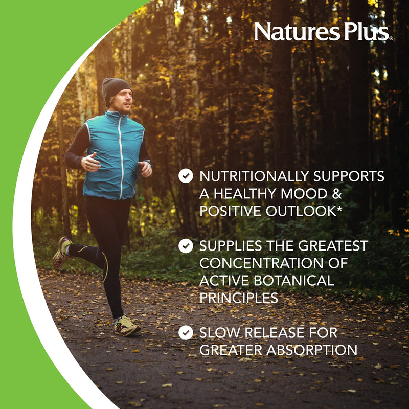 [Australia] - Natures Plus Herbal Actives St John's Wort, Extended Release - 450 mg, 60 Vegan Tablets - Vegetarian, Gluten-Free - 60 Servings 1 