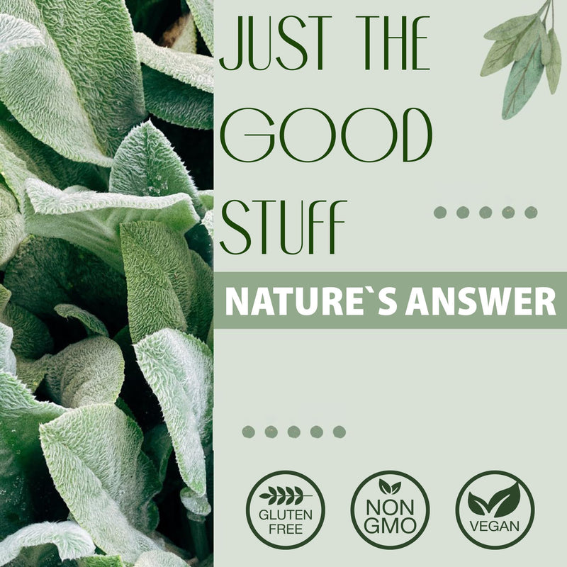 Nature's Answer, Dong Quai, 500mg, 90 Vegan Capsules, Gluten Free, Soy Free, Vegetarian, Non-GMO