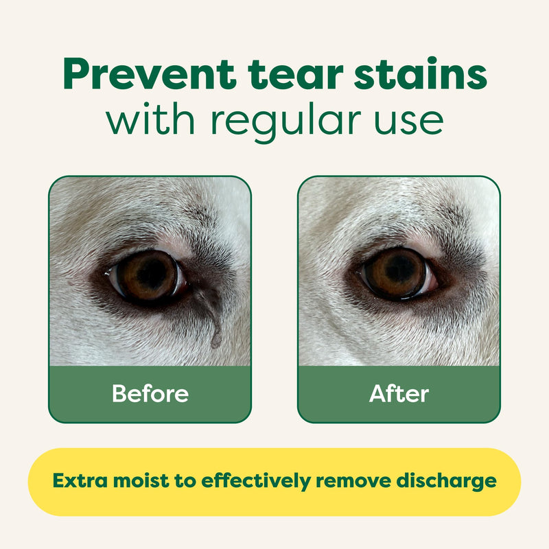 Earth Rated Dog Ear Wipes & Dog Eye Wipes Bundle - Includes 60 Hypoallergenic Plant Based Ear Wipes & 60 Hypoallergenic Plant Based Eye Wipes - PawsPlanet Australia