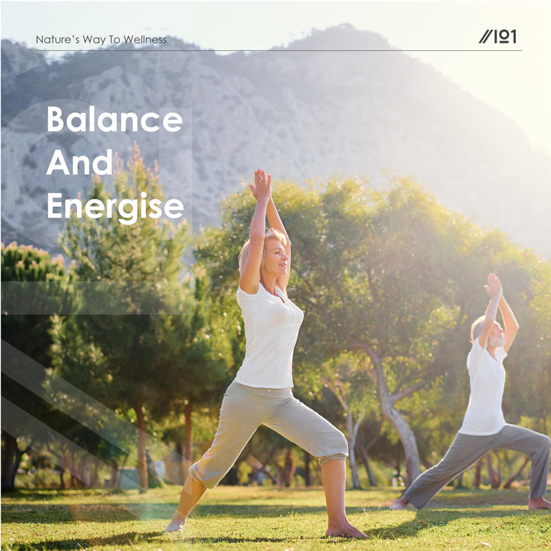 Organic Vitamin B12 1000mcg - Sourced from Chlorella – 60 Vegan Capsules – Contributes to Normal Functioning of the Nervous System - By Alpha01