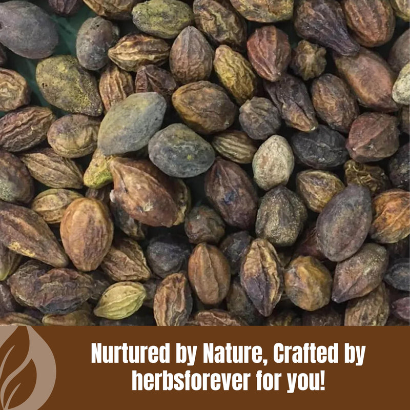 [Australia] - Haritaki Powder | Terminalia Chebula | Non-GMO, Gluten-Free, Vegan | Premium Quality, Raw, Seedless, Freshly Ground, Natural Herbal Powder 454GMS 