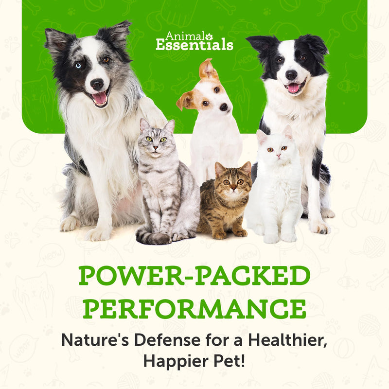 Animal Essentials Combat Turkey Tail Mushroom Supplement for Dogs & Cats - Critical Immune Defense, Supports Cognitive Function, Mushroom Powder Extract, Organic Turkey Tail - 2.5 Oz (Pack of 1) - PawsPlanet Australia