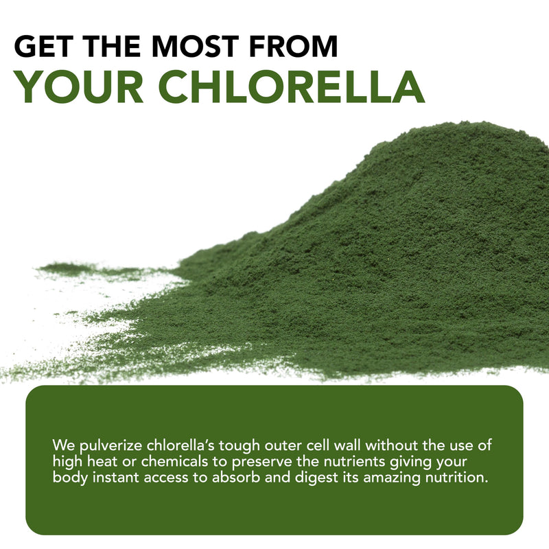 Sun Chlorella Powder 3g Single-Serve Packets, B12-Vitamin D Support, 10ct | Pulverized Cell Wall Unlocks 60+ Nutrients; Non-GMO Whole-Food Formula; Supports Immune & Digestive Health Herbal 10 Ounce (Pack of 1)