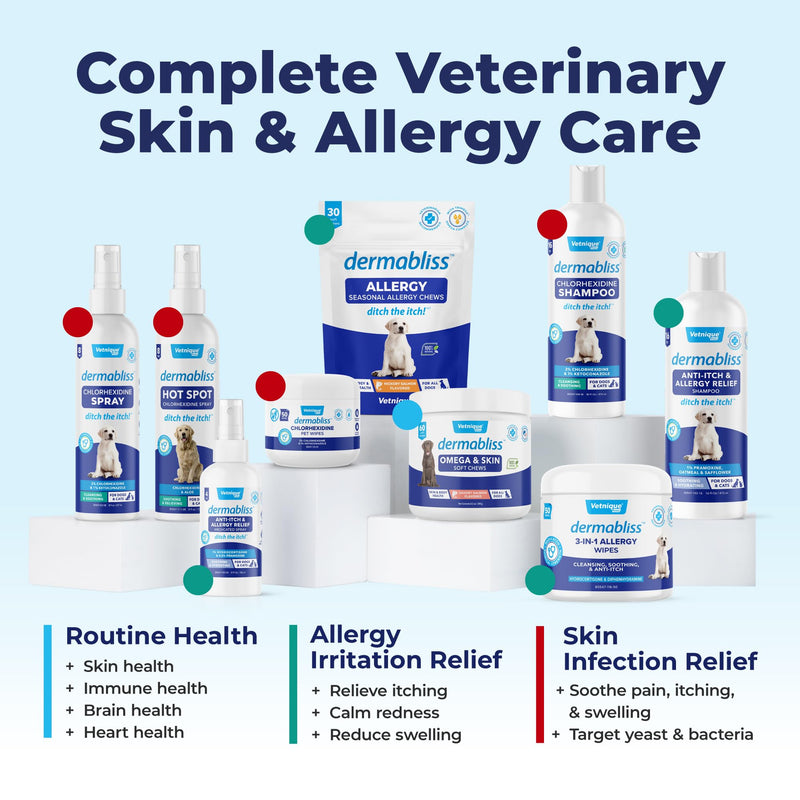 Vetnique Dermabliss Hot Spot Treatment for Dogs - Antiseptic Medicated Chlorhexidine Spray - Vet Recommended for Skin Infections, Hot Spots & Irritation (Hot Spot Spray, 8oz) - PawsPlanet Australia