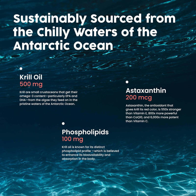 [Australia] - NativePath Antarctic Krill Oil - Wild-Caught Omega 3 Krill Oil 500mg Softgels with EPA, DHA and Astaxanthin - Supplement for Joint, Heart, Brain and Immunity - 60 ct - No Fishy Aftertaste 60 Count (Pack of 1) 