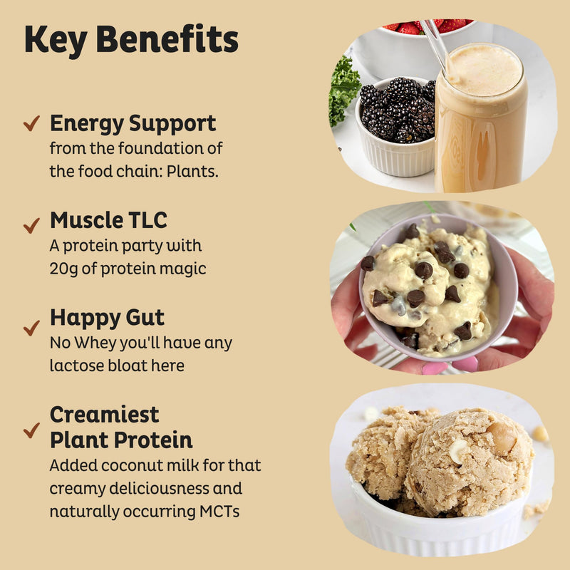 KOS Plant Based Protein Powder, Vanilla USDA Organic - Low Carb Pea Protein Blend, Vegan Superfood Rich in Vitamins & Minerals - Keto, Soy, Dairy Free - Meal Replacement for Women & Men - 10 Servings 13.05 Ounce (Pack of 1)
