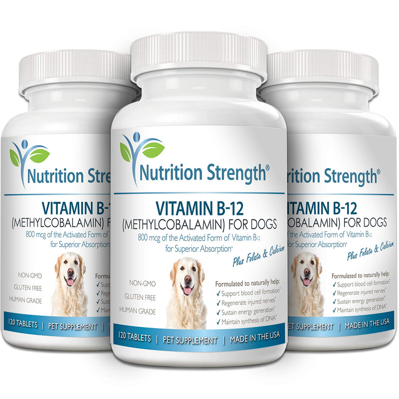 Vitamin B12 for Dogs Plus Folate & Calcium, Support the Nervous System & Blood Cell Formation, Help Sustain Cellular Energy Generation & Maintain DNA Synthesis, 120 Chewable Tablets - PawsPlanet Australia
