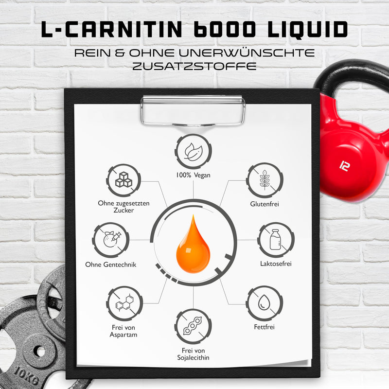 [Australia] - L-Carnitine 6000 Liquid - 1000 ml - Extra high dosage with 6000 mg of pure L-Carnitine per daily serving - Amino Workout Drink - Delicious taste (Orange Power) - Vegan 