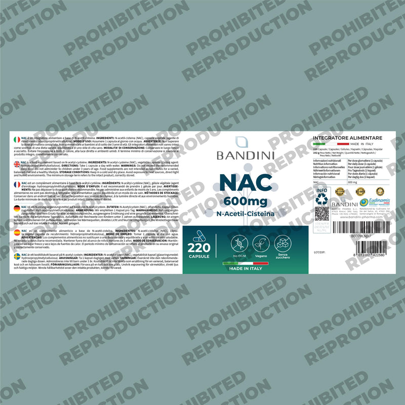 Bandini® NAC N-Acetyl-Cysteine 600 mg | 220 Vegan Capsules (+7 Months) | Glutathione Precursor | 1 Capsule per Day | High Bioavailability of N Acetylcysteine Supplement | N-Acetyl Cysteine 600mg 220 count (Pack of 1)