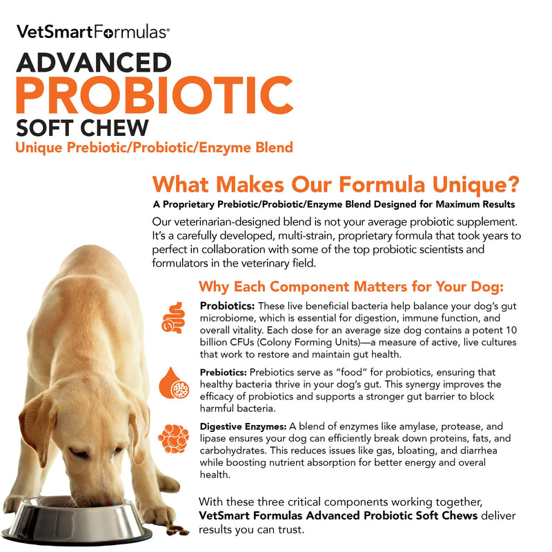 Advanced Probiotic Soft Chews for Dogs - Veterinarian-Strength Probiotic Support for Optimal Health – with 10 Billion CFUs Per Dose - PawsPlanet Australia