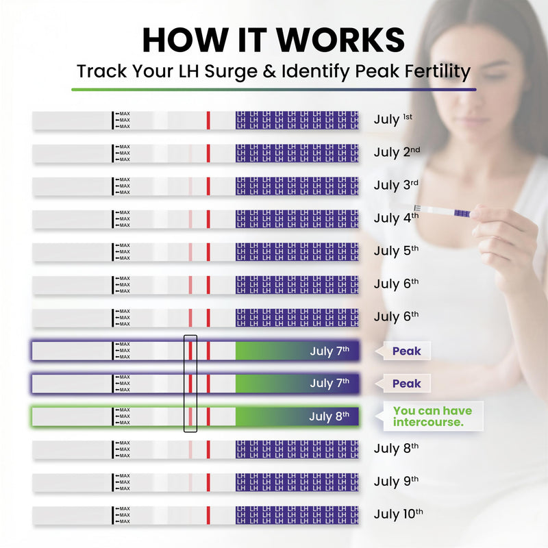 30 x One Step Ovulation Strips 20miu/ml Test Kit Sensitive Fertility Predictor Testing Sticks (Wide Width) 30 Count
