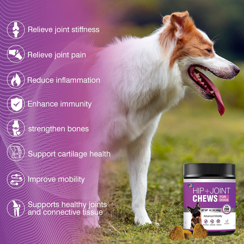 Glucosamine for Dogs 200pcs Joint Support Supplement Dog Hip and Joint Chondroitin Chews Treats with MSM Hemp Dog Joint Pain Relief Mobility Supplements Chicken Flavor Fit All Large Small Medium Breed - PawsPlanet Australia