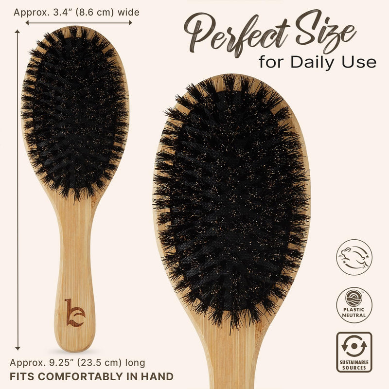 [Australia] - Boar Bristle Hair Brush for Women and Men, Natural 100% Soft Boars Hairbrush for Fine and Thin Hair Pack of 1 100% Boar Bristles 
