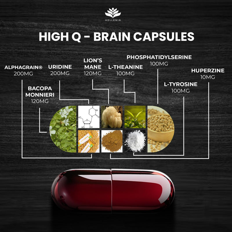 Nootropic Brain Capsules - Focus Supplement | Nootropic Brain Supplement for Cognitive & Memory Function | 60 Capsules | Productivity Science Backed Formula - Made in the UK