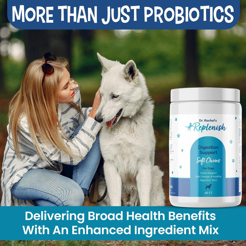 Replenish Probiotic and Digestive Enzyme Chews for Dogs - Dr. Rachel's Daily Canine Probiotics and Dog Digestive Enzymes, Nutrient Absorption Chews - Pet Dietary Balance, Stomach Relief - 60 Count - PawsPlanet Australia