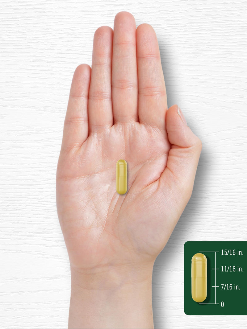 [Australia] - Carlyle Berberine with Ceylon Cinnamon | 2000mg Complex | 60 Capsules | Vegetarian, Non-GMO, Gluten Free 