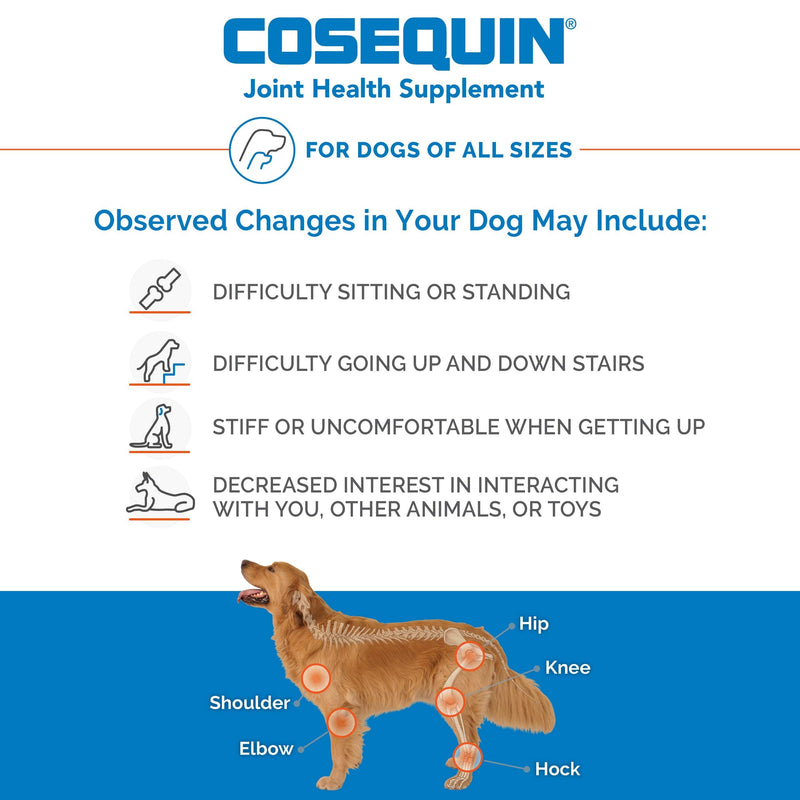 Nutramax Cosequin Standard Strength Joint Health Supplement for Dogs, with Glucosamine and MSM, 75 Chewable Tablets (Pack of 2) 75Count (Pack of 2) - PawsPlanet Australia