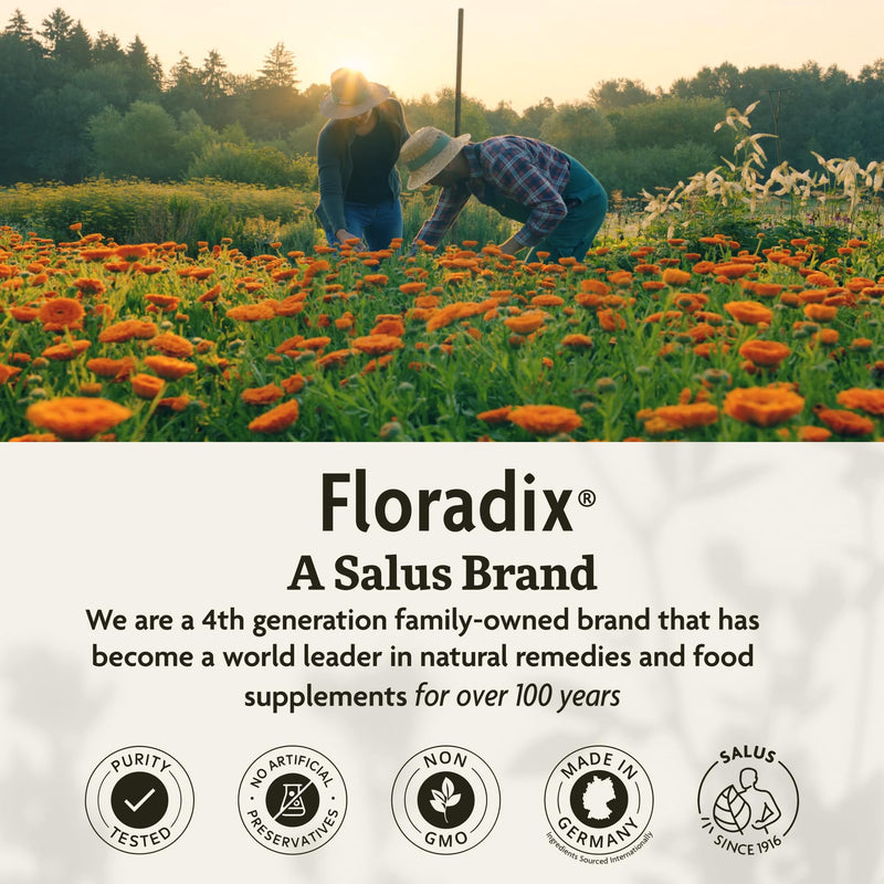 Floradix Iron & Herbs - Liquid Herbal Supplement for Energy Support - Iron Supplement with Vitamin C & Vitamin B Complex - Ferrous Gluconate Iron - for Men & Women - 8.5 fl oz Unflavored 8.5 Fl Oz (Pack of 1)