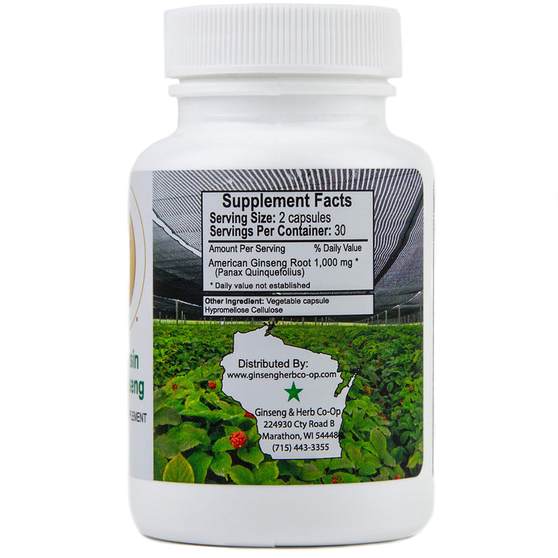 [Australia] - 100% Pure Wisconsin American Ginseng Capsules - 500mg. Authentic Panax Quinquefolius. Potent Ground Ginseng Root - No Fillers, Binders or Other Additives. 