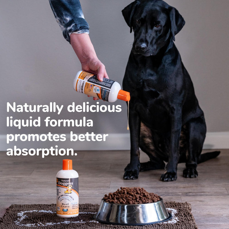 Dressing Best Hip and Joint Supplement for Dogs, Glucosamine & Chondroitin/Joint Health/Salmon Oil for Dogs Skin and Coat Health, Delicious Beef Gravy Flavor - 16 Oz Pack of 1 16 ounce Liquid Beef Gravy Supplement - PawsPlanet Australia