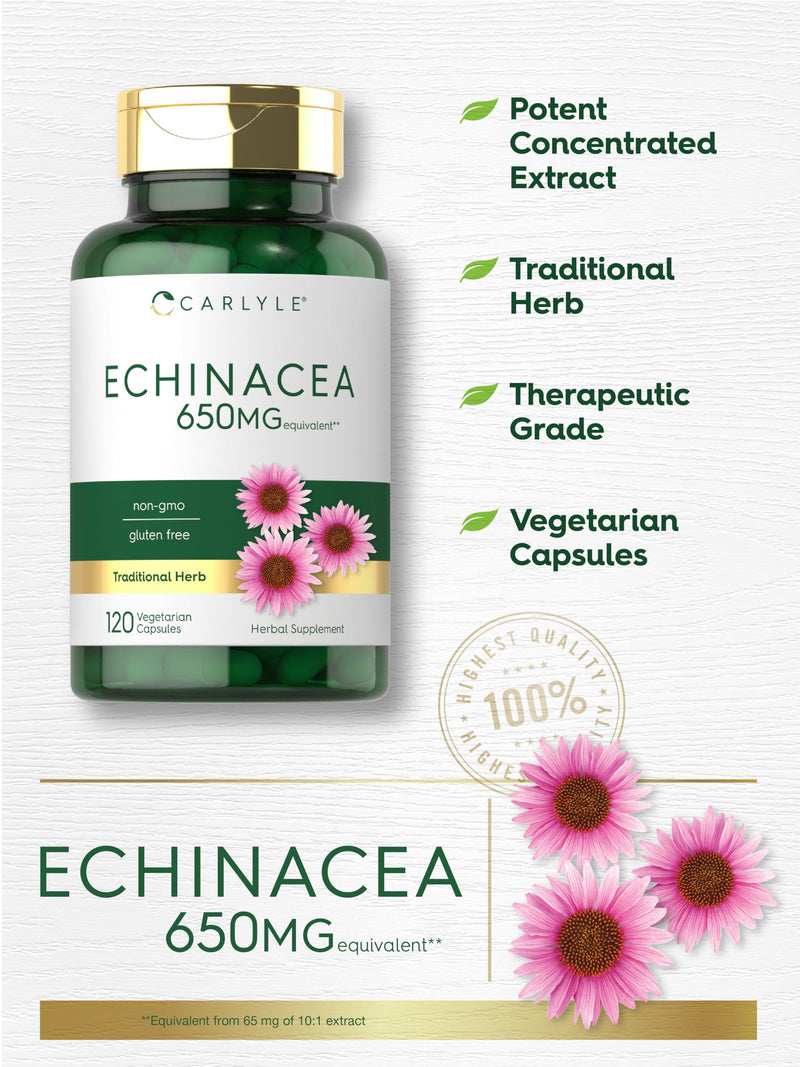 Carlyle Echinacea Capsules 650mg | 120 Count | Non-GMO & Gluten Free Supplement