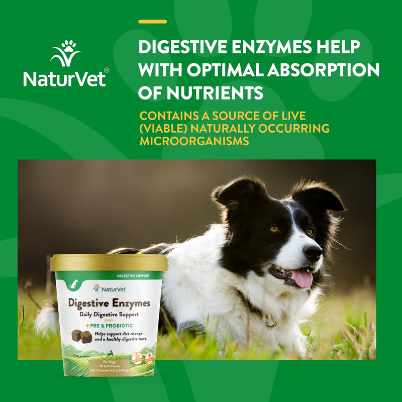 NaturVet Advanced Probiotics and Enzymes Supplement Digestive Enzymes - Plus Probiotics & Prebiotics Soft Chews, 70 Count Made in The USA with Globally Source Ingredients 70 Soft Chews - PawsPlanet Australia
