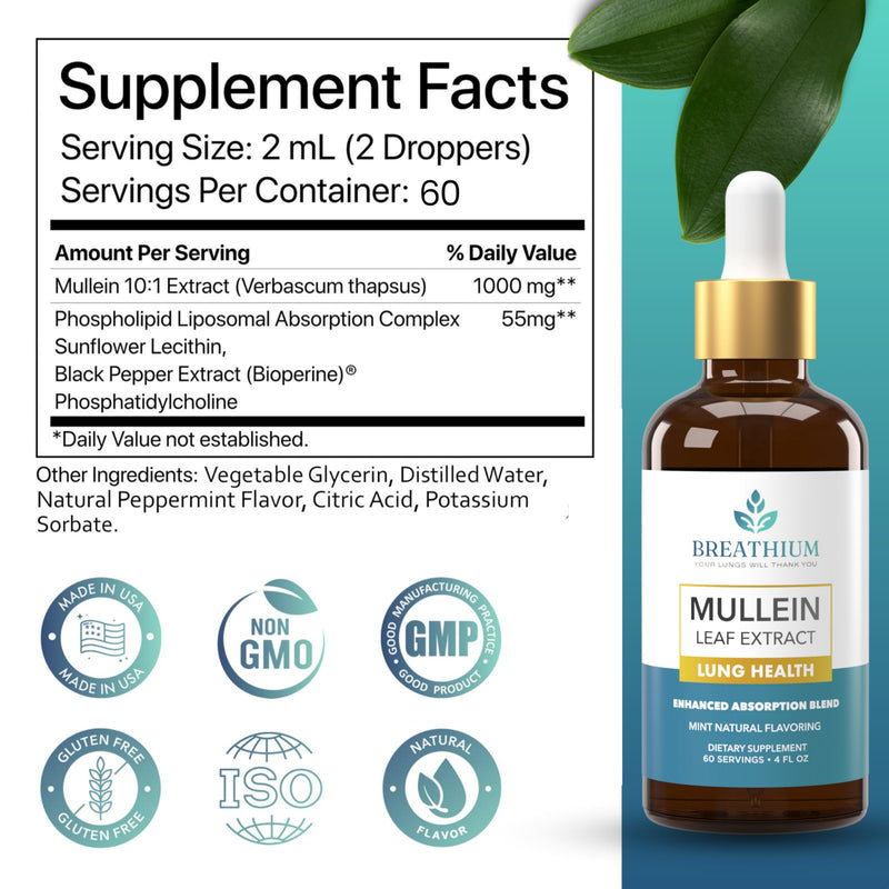 [Australia] - 4-in-1 Mullein Drops for Lungs & Gut Health ‚Äì Liposomal Mullein Leaf Extract, Sunflower Lecithin & Choline for Immune, Digestive, Allergy & Mucus Relief ‚Äì Made in USA ‚Äì 4oz Peppermint 4 Fl Oz (60 Servings) 