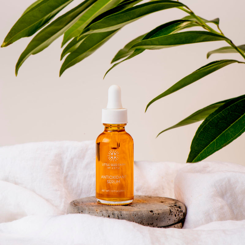 Little Seed Farm Antioxidant Serum - Facial Serum for Dry Skin, 1 fl oz | Antioxidant facial serum for dry and aging skin, nourishing & revitalizing face serum