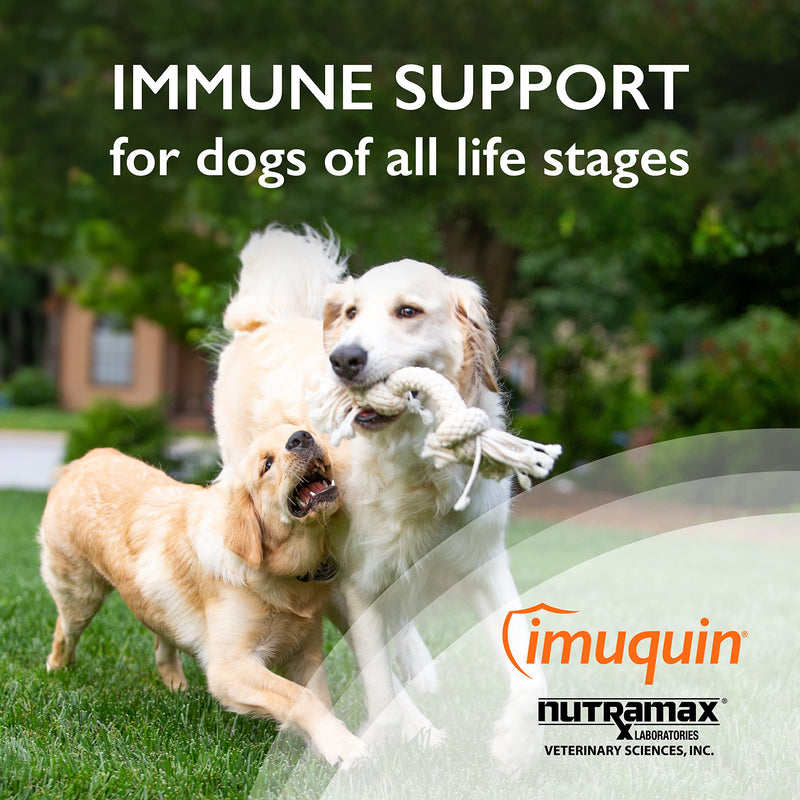 Nutramax Laboratories Nutramax Imuquin Immune Health Supplement Powder for Dogs, with Beta Glucans, Marine Lipids, Vitamins and Minerals, 30 Packets, Updated Version - PawsPlanet Australia