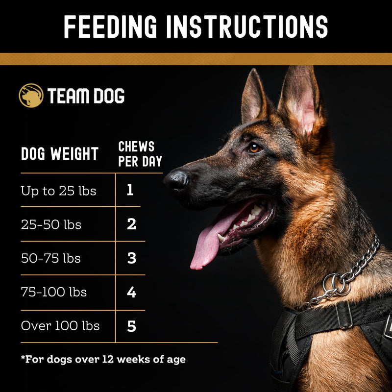 TEAM DOG Probiotic Chews for Dogs | Digestive Enzymes & Dog Probiotics for Yeast, Itchy Skin and Itchy Ears | for Allergies & Sensitive Stomachs | Promotes Digestive & Gut Health for Dogs | 120 Count - PawsPlanet Australia