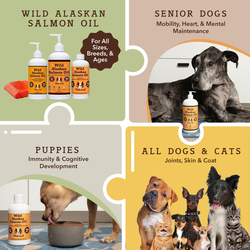 Natural Dog Company Wellness Bundle for Dogs, Salmon Oil for Dogs, multivitamin and Supplement, Itch Relief for Dogs - PawsPlanet Australia