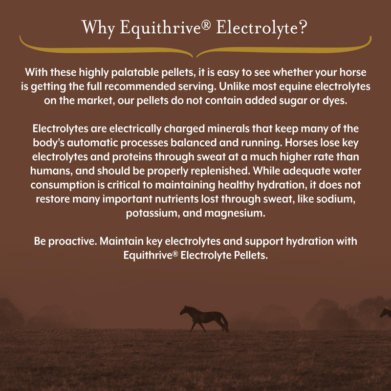 Equithrive Horse Electrolyte Pellets, Vitamins and Minerals Supplement, Equine Feed Supplies for Training and Competition, .5 lbs, 3 Day Supply 0.5 lbs - PawsPlanet Australia